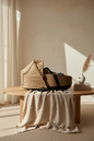 Nacelle Toffee YOYO — Pack 0+ Poussette Babyzen Stokke + Adaptateurs